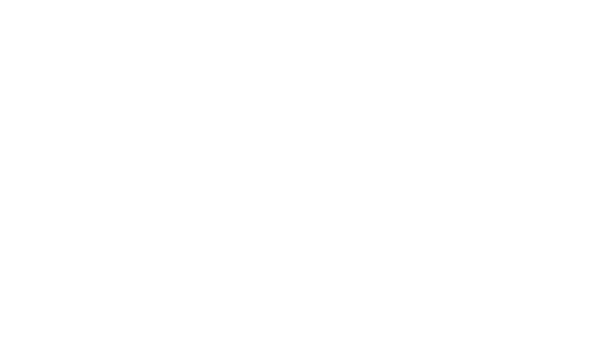 Tribeca Festival Official Selection